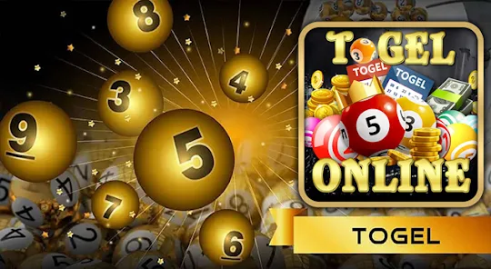 The Solidarity Among Online Togel Players
